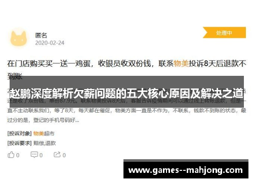 赵鹏深度解析欠薪问题的五大核心原因及解决之道