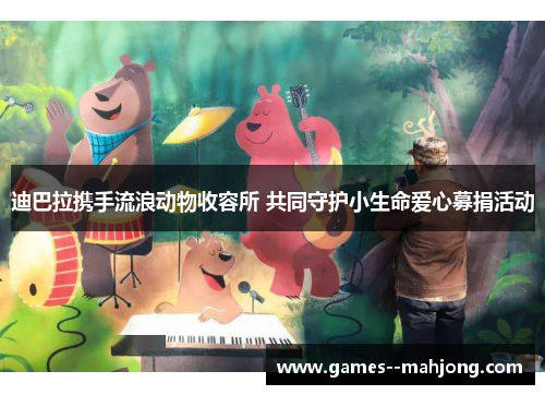 迪巴拉携手流浪动物收容所 共同守护小生命爱心募捐活动