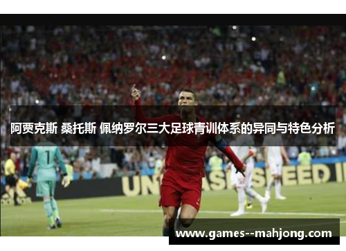 阿贾克斯 桑托斯 佩纳罗尔三大足球青训体系的异同与特色分析 阿贾克斯 桑托斯 佩纳罗尔三大足球青训体系的异同与特色分析