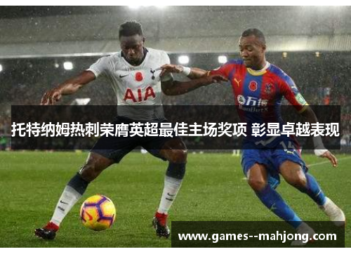 托特纳姆热刺荣膺英超最佳主场奖项 彰显卓越表现